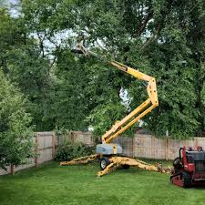 Portland, IN Tree Services Company